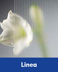 Linea blanc