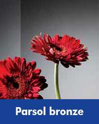 Parsol bronze