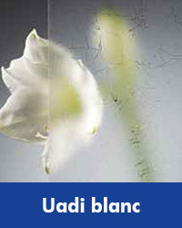 Uadi blanc